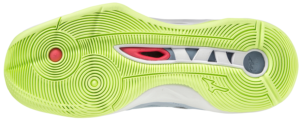 Mizuno wave Momentum 2 | Women