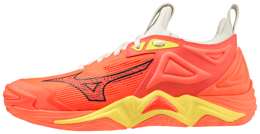 Mizuno wave Momentum 3