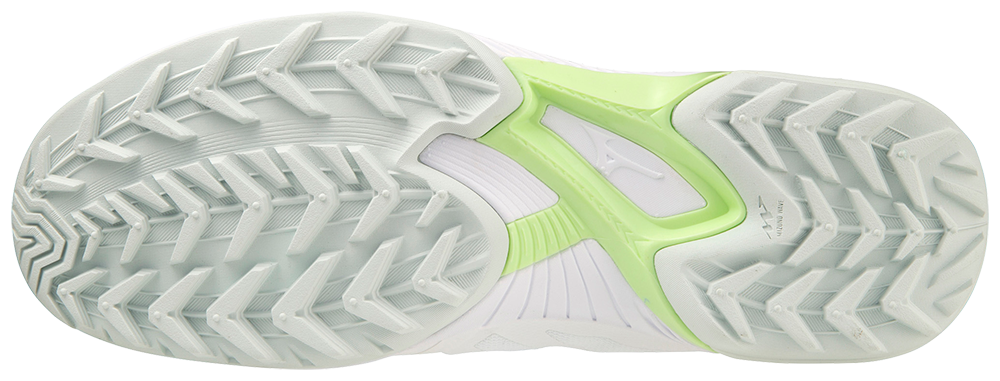 Mizuno wave Panthera | Women