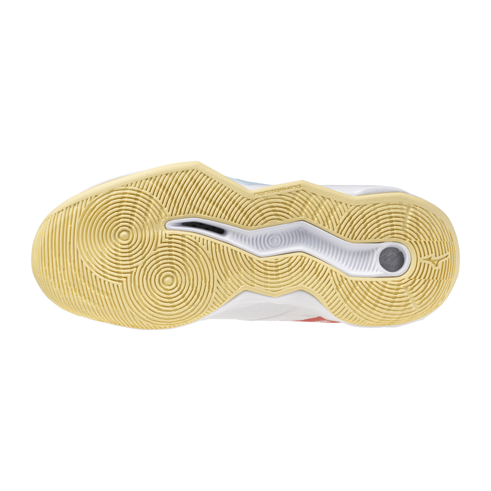 Mizuno wave Momentum PRO | Women