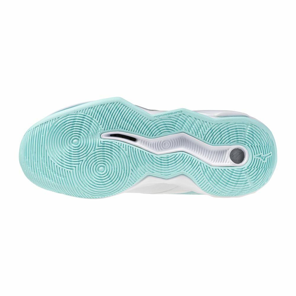 Mizuno wave Momentum PRO | Women