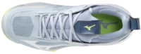 Mizuno wave Momentum 2 | Women