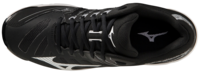 Mizuno wave Voltage