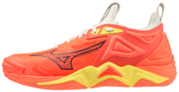 Mizuno wave Momentum 3