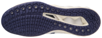 Mizuno wave Luminous 2 