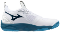 Mizuno wave Momentum 3