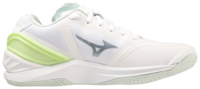 Mizuno wave Stealth NEO | Women
