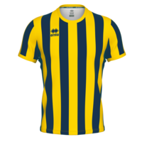Errea Strip shirt