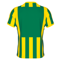 Errea Strip shirt