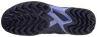 Mizuno wave Panthera