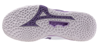 Mizuno wave Stealth NEO 2 | Women