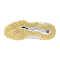 Mizuno wave Momentum PRO | Women