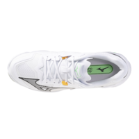 Mizuno wave Lightning z8 