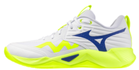 Mizuno wave Momentum pro