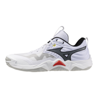 Mizuno wave Momentum Elite