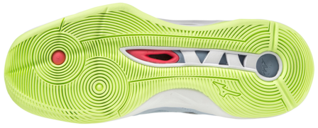 Mizuno wave Momentum 2 | Women