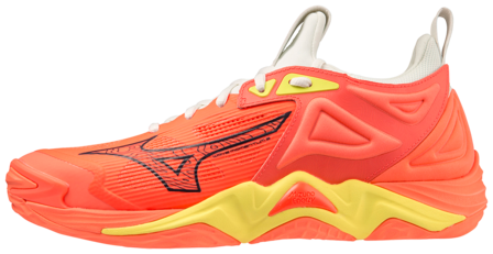 Mizuno wave Momentum 3