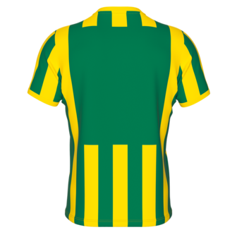 Errea Strip shirt