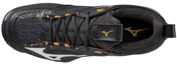 Mizuno wave Momentum 2 |  