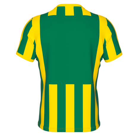 Errea Strip shirt